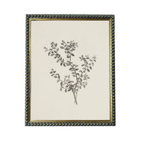 a framed black and white drawing of a plant with leaves and branches.