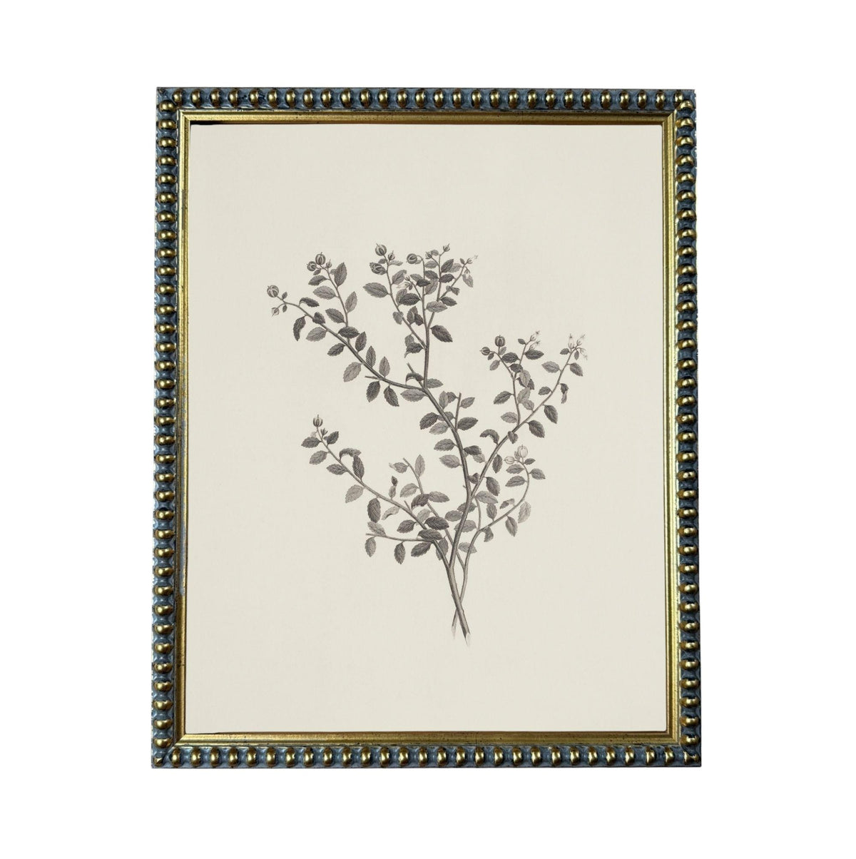 a framed black and white drawing of a plant with leaves and branches.