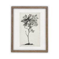 Framed Canvas Art #BOT-124