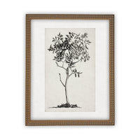 Framed Canvas Art #BOT-124