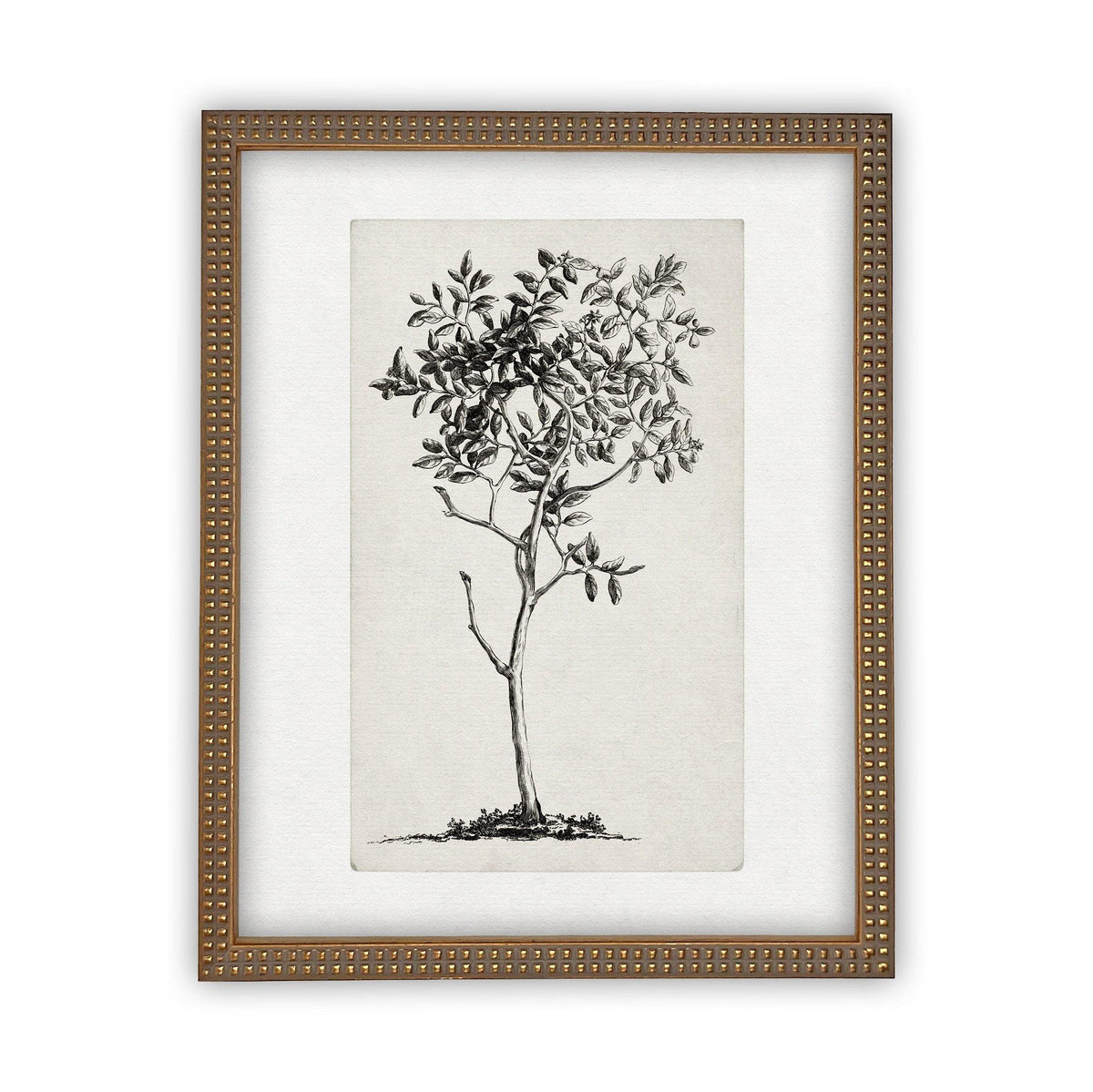 Framed Canvas Art #BOT-124