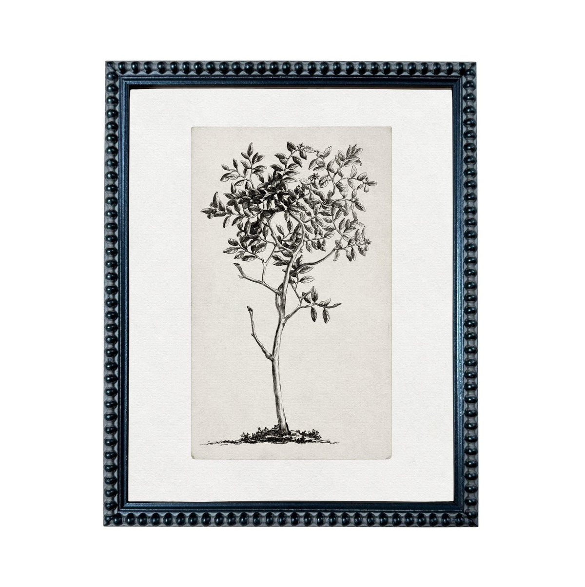 A framed black and white illustration of a tree with a simple, elegant design.
