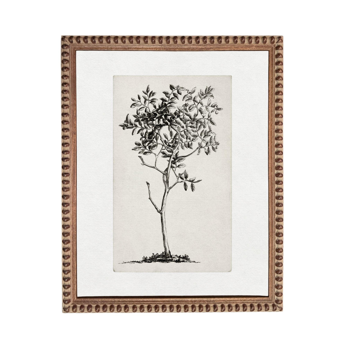 a framed black and white illustration of a tree with a textured background.