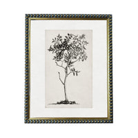 a framed black and white illustration of a tree with a thin trunk and branches.
