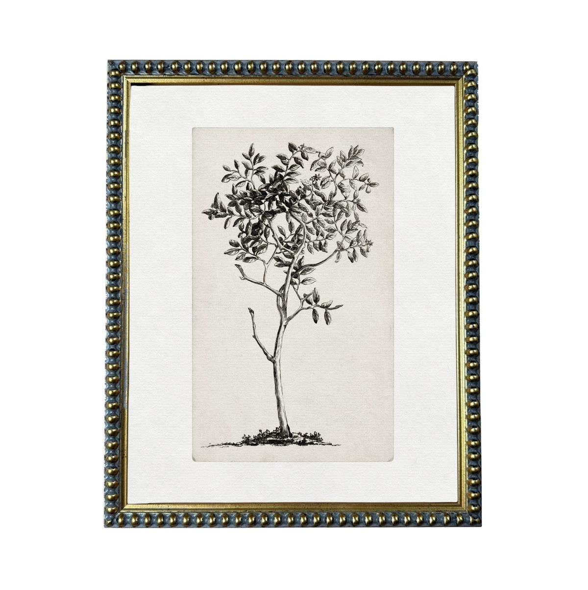 a framed black and white illustration of a tree with a thin trunk and branches.