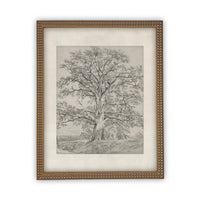 Vintage Framed Canvas Art #BOT-121