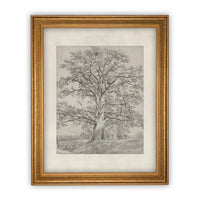 Vintage Framed Canvas Art #BOT-121