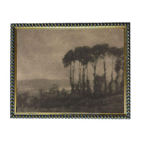 The image is a black and white photograph of a landscape with a group of trees in the foreground.