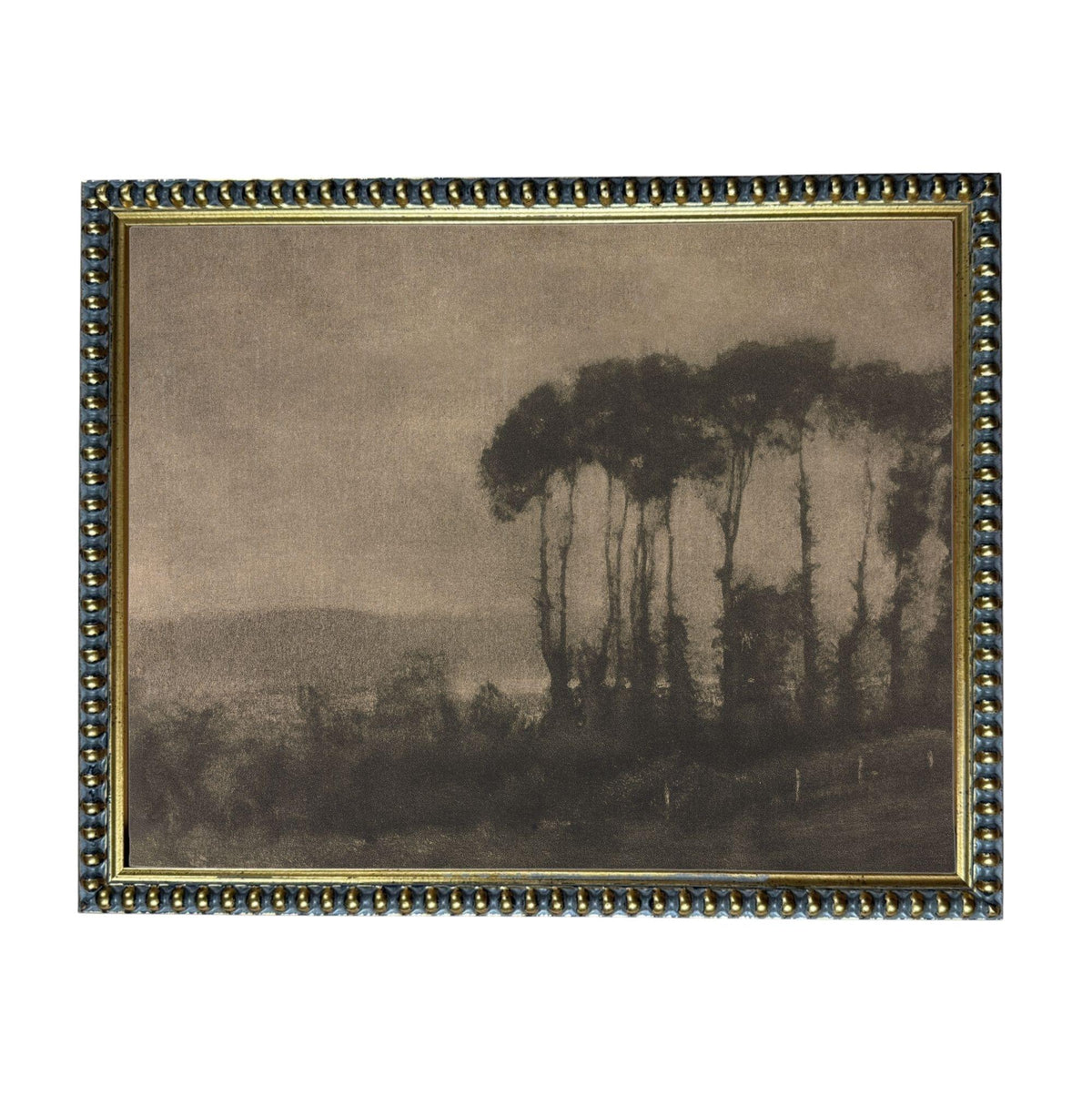 The image is a black and white photograph of a landscape with a group of trees in the foreground.