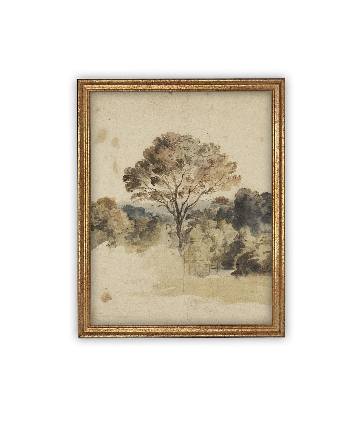 Vintage Framed Canvas Art #LAN-273