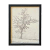 Vintage Framed Canvas Art  // Framed Vintage Print // Vintage Painting // Black White Tree Sketch // Farmhouse print //#BOT-116