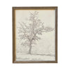 Vintage Framed Canvas Art  // Framed Vintage Print // Vintage Painting // Black White Tree Sketch // Farmhouse print //#BOT-116