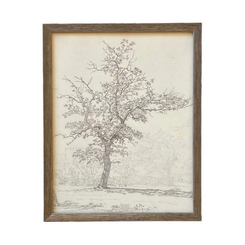 Vintage Framed Canvas Art  // Framed Vintage Print // Vintage Painting // Black White Tree Sketch // Farmhouse print //#BOT-116