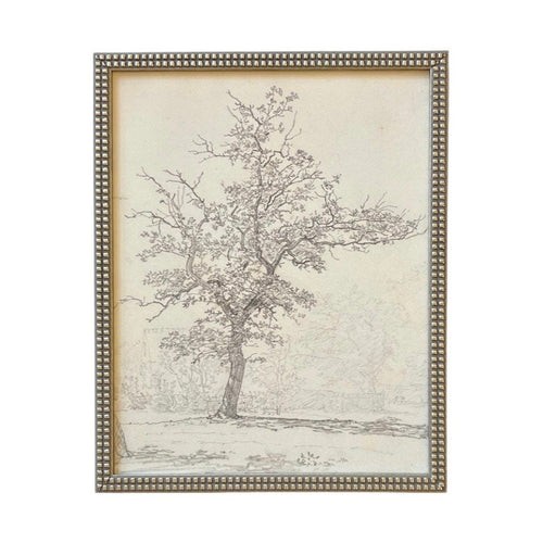 Vintage Framed Canvas Art  // Framed Vintage Print // Vintage Painting // Black White Tree Sketch // Farmhouse print //#BOT-116