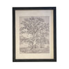 Vintage Framed Canvas Art  // Framed Vintage Print // Vintage Painting // Black White Tree Sketch // Farmhouse print //#BOT-121