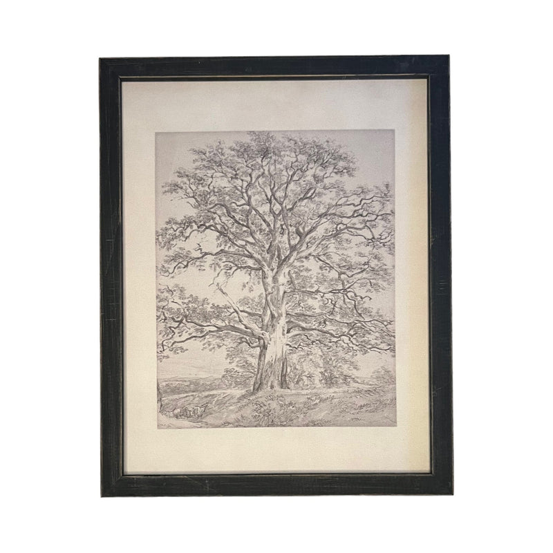 Vintage Framed Canvas Art  // Framed Vintage Print // Vintage Painting // Black White Tree Sketch // Farmhouse print //#BOT-121