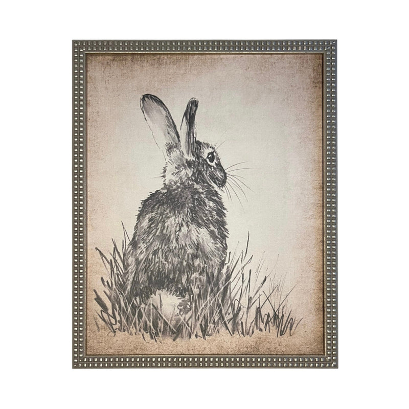 Vintage Framed Canvas Art  // Framed Easter Art // Vintage Rabbit Print // Vintage Bunny Sketch // Girls Room or Nursery print //#A-148