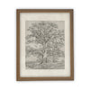 Vintage Framed Canvas Art  // Framed Vintage Print // Vintage Painting // Black White Tree Sketch // Farmhouse print //#BOT-121