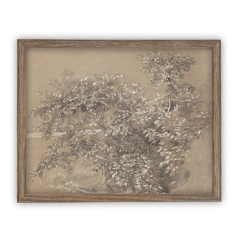 Vintage Framed Canvas Art  // Framed Vintage Print // Vintage Painting // Neutral Botanical Sketch // Farmhouse print //#BOT-112