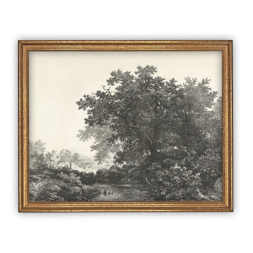 Vintage Framed Canvas Art  // Framed Vintage Print // Vintage Painting // Black White Tree Sketch // Farmhouse print //#LAN-149