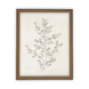 Vintage Framed Canvas Art  // Framed Vintage Print // Vintage Painting // Botanical Sketch // Winter Pine botanical print //#CH-308