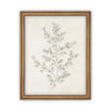 Vintage Framed Canvas Art  // Framed Vintage Print // Vintage Painting // Botanical Sketch // Winter Pine botanical print //#CH-308