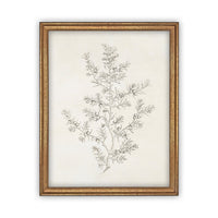 Vintage Framed Canvas Art  // Framed Vintage Print // Vintage Painting // Botanical Sketch // Winter Pine botanical print //#CH-308