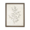 Vintage Framed Canvas Art  // Framed Vintage Print // Vintage Painting // Botanical Sketch // Winter Pine botanical print //#CH-308
