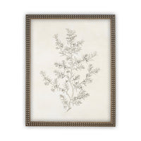 Vintage Framed Canvas Art  // Framed Vintage Print // Vintage Painting // Botanical Sketch // Winter Pine botanical print //#CH-308