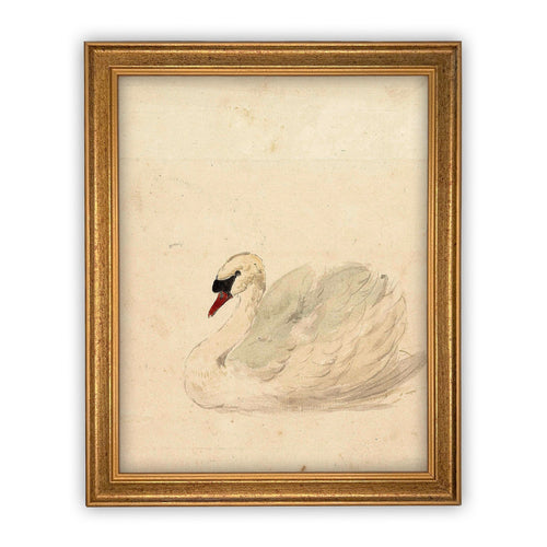 Vintage Framed Canvas Art  // Framed Vintage Print // Vintage Painting // White Swan Art // Girls Room or Nursery print //#A-101