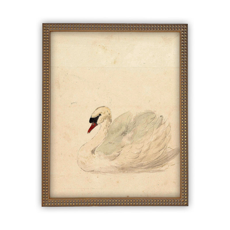 Vintage Framed Canvas Art  // Framed Vintage Print // Vintage Painting // White Swan Art // Girls Room or Nursery print //#A-101