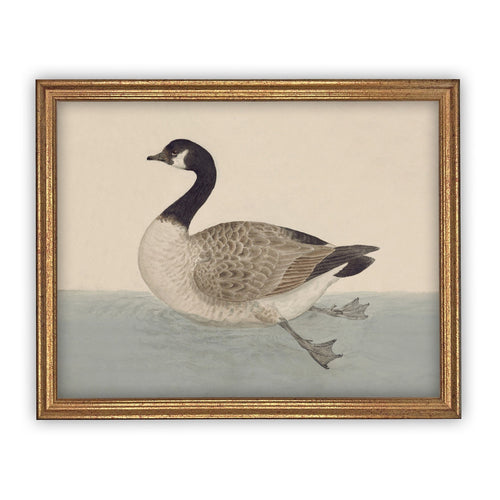 Vintage Framed Canvas Art  // Framed Vintage Print // Vintage Painting // Duck Art // Kids Room or Nursery print //#A-105