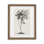 Vintage Framed Canvas Art  // Framed Vintage Print // Vintage Painting // Black White Tree Sketch // Farmhouse print //#BOT-124