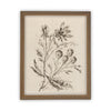 Vintage Framed Canvas Art  // Framed Vintage Print // Vintage Painting // Botanical Floral Sketch // Farmhouse print  //#BOT-115