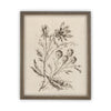 Vintage Framed Canvas Art  // Framed Vintage Print // Vintage Painting // Botanical Floral Sketch // Farmhouse print  //#BOT-115