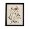 Vintage Framed Canvas Art  // Framed Vintage Print // Vintage Painting // Botanical Floral Sketch // Farmhouse print  //#BOT-115