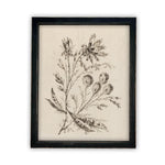 Vintage Framed Canvas Art  // Framed Vintage Print // Vintage Painting // Botanical Floral Sketch // Farmhouse print  //#BOT-115