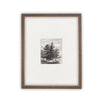 Vintage Framed Canvas Art  // Framed Vintage Print // Vintage Painting // Black White Tree Sketch // Minimalist Art //#LAN-108