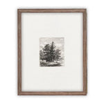 Vintage Framed Canvas Art  // Framed Vintage Print // Vintage Painting // Black White Tree Sketch // Minimalist Art //#LAN-108