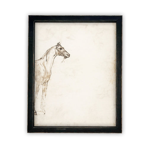 Vintage Framed Canvas Art  // Framed Vintage Print // Vintage Painting // Vintage Horse Sketch Art// Farmhouse print //#A-130