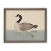 Vintage Framed Canvas Art  // Framed Vintage Print // Vintage Painting // Duck Art // Kids Room or Nursery print //#A-105