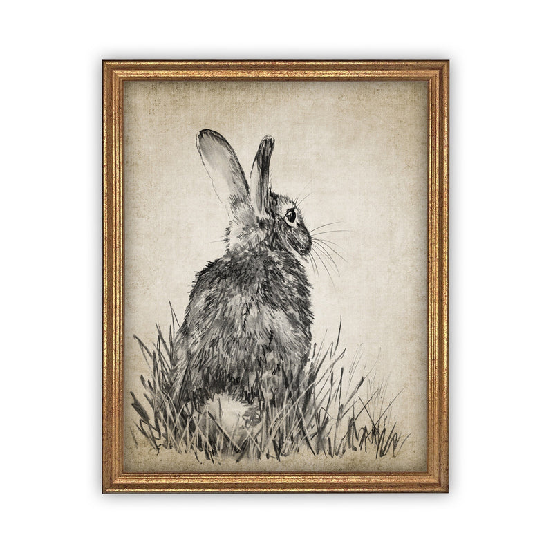 Vintage Framed Canvas Art  // Framed Easter Art // Vintage Rabbit Print // Vintage Bunny Sketch // Girls Room or Nursery print //#A-148