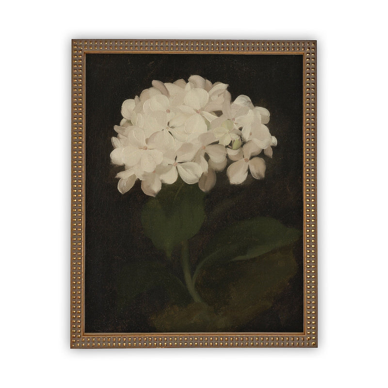 Vintage Framed Canvas Art  // Framed Vintage Print // Vintage Painting // Framed Vintage Hydrangea // Botanical Floral Art //#BOT-103