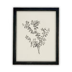 Vintage Framed Canvas Art  // Framed Vintage Print // Vintage Painting // Botanical Sketch // Farmhouse print //#BOT-118