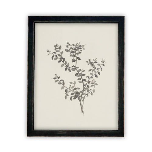 Vintage Framed Canvas Art  // Framed Vintage Print // Vintage Painting // Botanical Sketch // Farmhouse print //#BOT-118