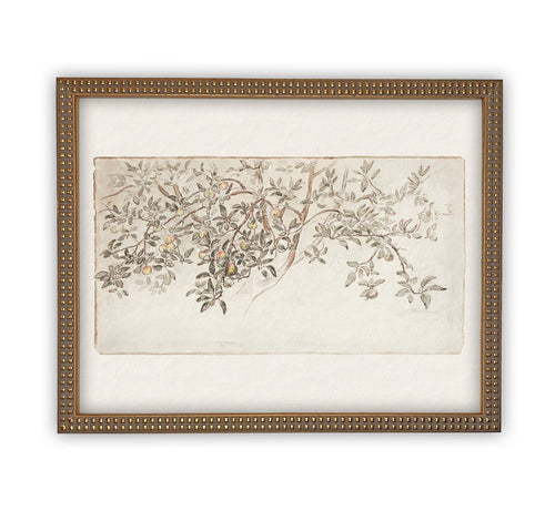 Vintage Framed Canvas Art  // Framed Vintage Print // Vintage Painting // Botanical Citrus Tree Sketch // Farmhouse print  //#BOT-111