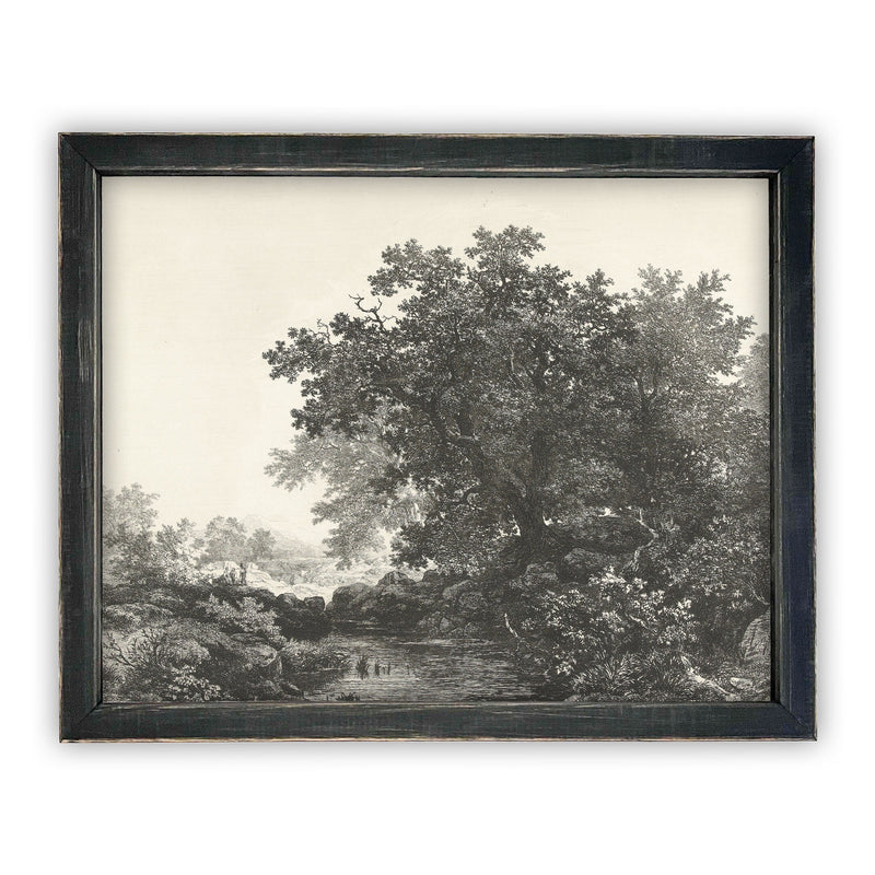 Vintage Framed Canvas Art  // Framed Vintage Print // Vintage Painting // Black White Tree Sketch // Farmhouse print //#LAN-149