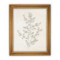 Vintage Framed Canvas Art  // Framed Vintage Print // Vintage Painting // Botanical Sketch // Winter Pine botanical print //#CH-308