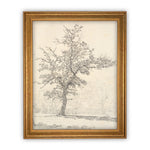 Vintage Framed Canvas Art  // Framed Vintage Print // Vintage Painting // Black White Tree Sketch // Farmhouse print //#BOT-116