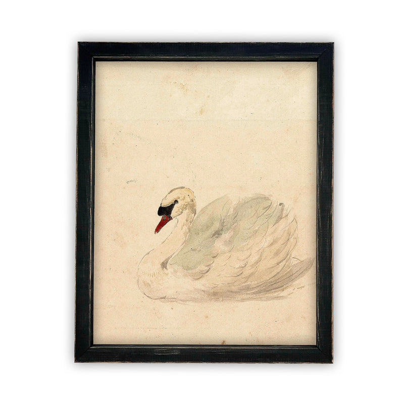 Vintage Framed Canvas Art  // Framed Vintage Print // Vintage Painting // White Swan Art // Girls Room or Nursery print //#A-101